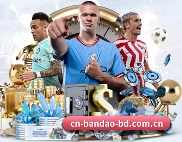 半岛体育平台 APP 深度功能(BANDAO SPORTS)